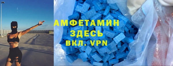 ГАЛЛЮЦИНОГЕННЫЕ ГРИБЫ Алексин