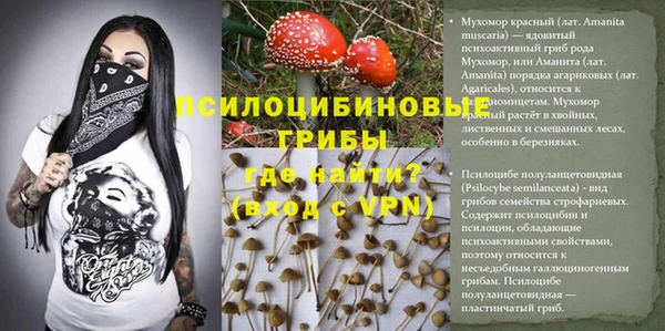 круглые Алексеевка