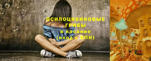 ПСИЛОЦИБИНОВЫЕ ГРИБЫ Алзамай