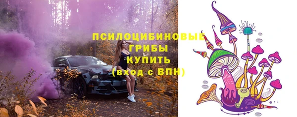 круглые Алексеевка